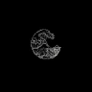 Meet your Posher, Bailey